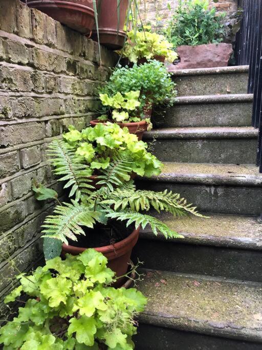 Kings Cross, Self-Contained House & Private Garden Villa London Bagian luar foto